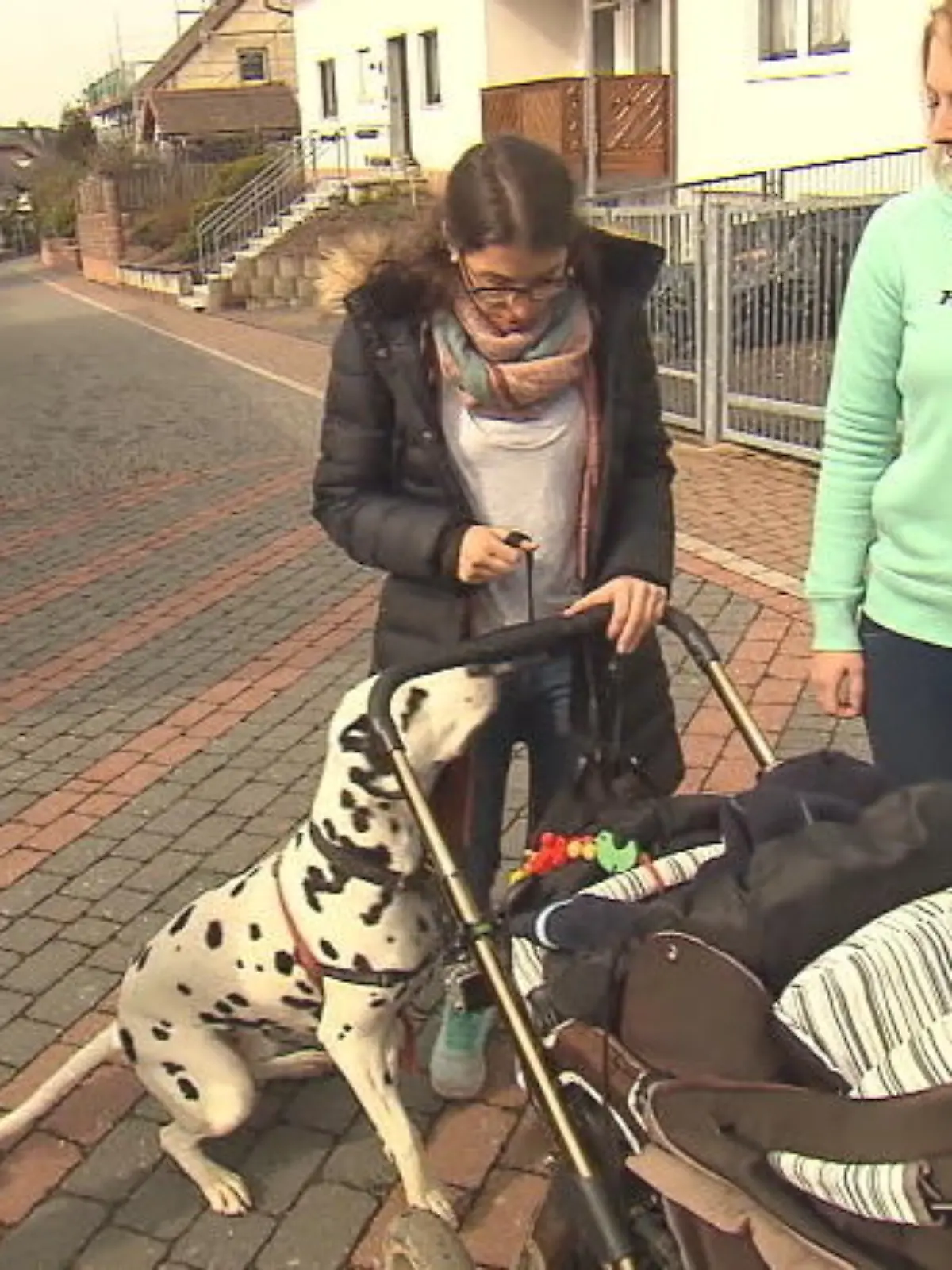 Bild zu: "Hund und Baby - eine gefährliche Kombination?"
