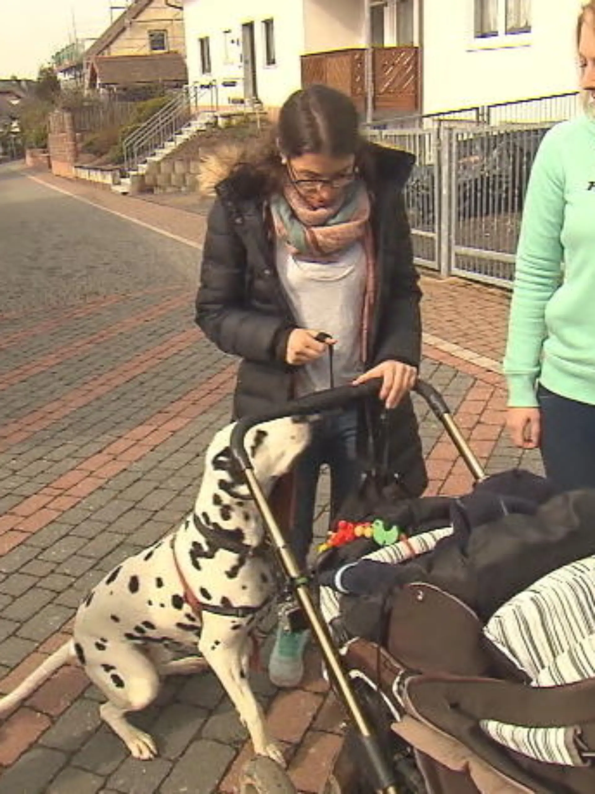 Bild zu: "Hund und Baby - eine gefährliche Kombination?"