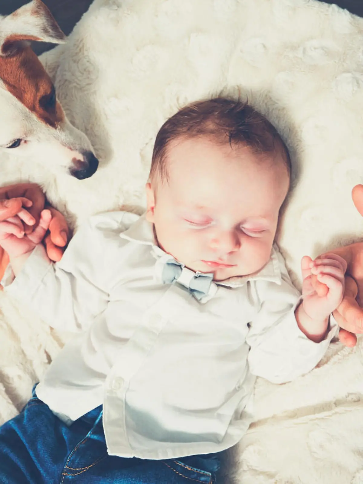 Hund und Baby
