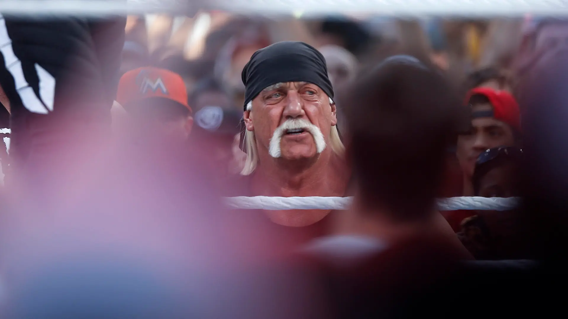 Image #: 35863915 Hulk Hogan makes an appearance during the Triple H vs. Sting match for WrestleMania at Levi's Stadium on Sunday, March 29, 2015 in Santa Clara, Calif. (Nhat V. Meyer/Bay Area News Group/TNS) San Jose Mercury News/ TNS /LANDOV Keine Weitergabe an Drittverwerter.