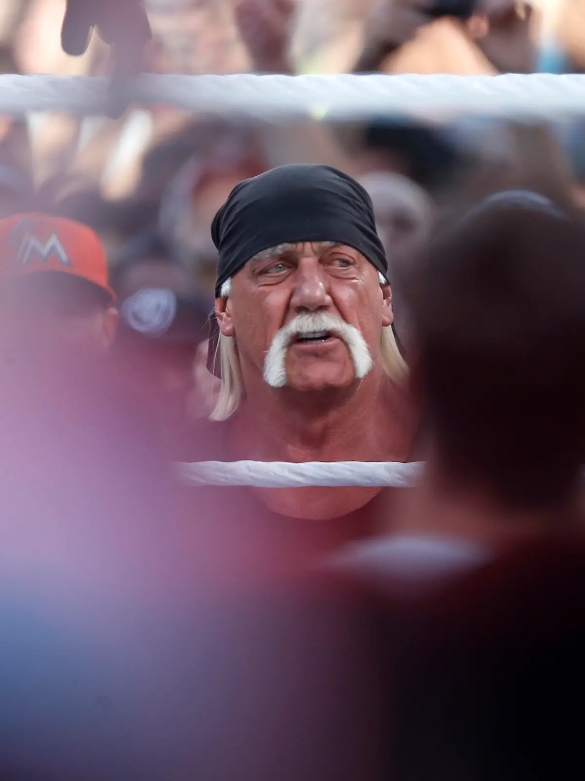 Image #: 35863915    Hulk Hogan makes an appearance during the Triple H vs. Sting match for WrestleMania at Levi's Stadium on Sunday, March 29, 2015 in Santa Clara, Calif. (Nhat V. Meyer/Bay Area News Group/TNS)      San Jose Mercury News/ TNS /LANDOV Keine Weitergabe an Drittverwerter.