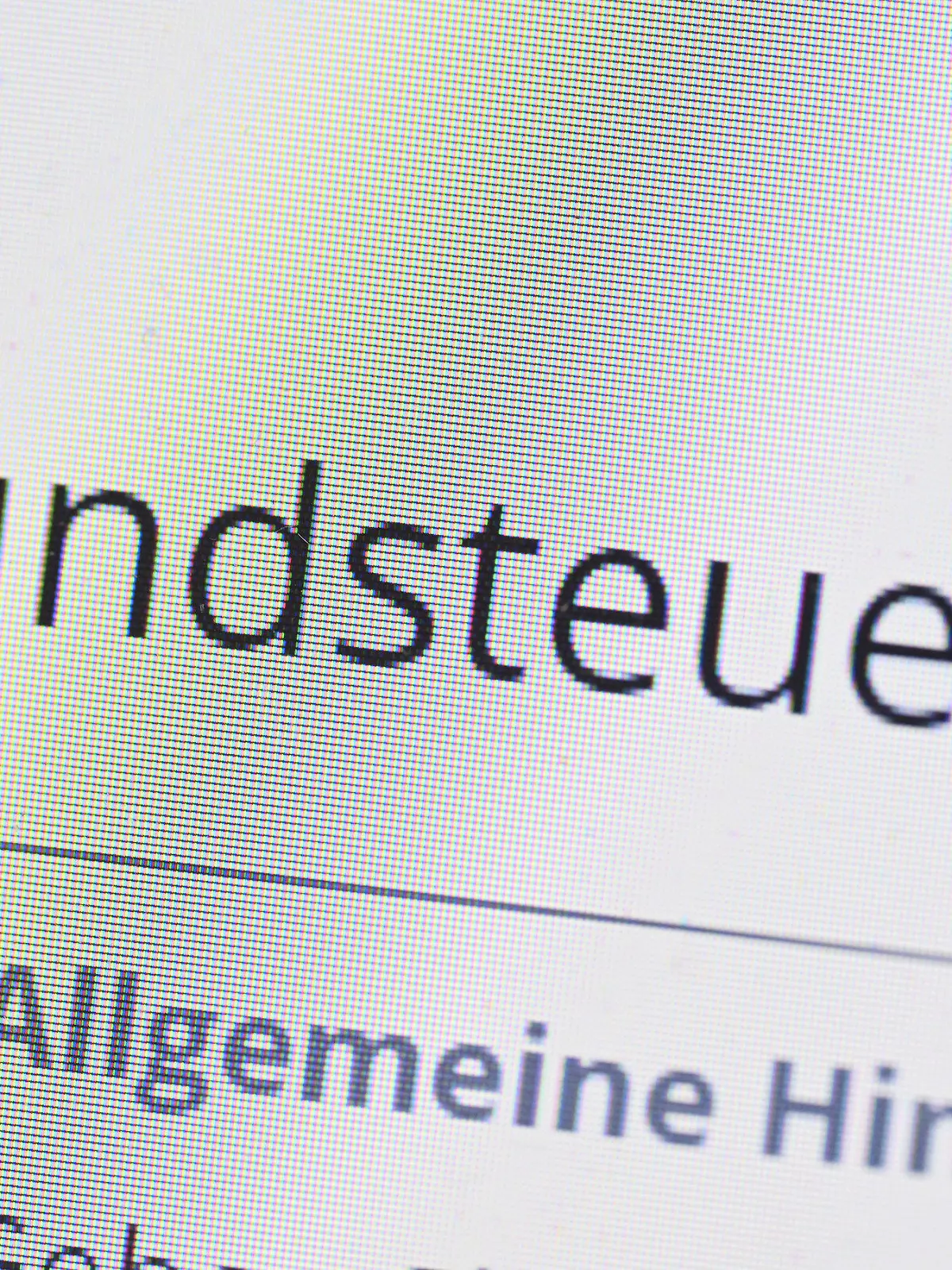 ARCHIV - 13.09.2022, Baden-Württemberg, Stuttgart: Das Wort Grundsteuer erscheint auf einem Computerbildschirm auf der Seite des Online-Steuerportals Elster. Bei den Finanzämtern in Bransdenburg sind bisher knapp 805 000 Erklrärungen eingegangen. (zu dpa «Erst Zweidrittel der Brandenburger Grundsteuererklärungen eingereicht») Foto: Bernd Weißbrod/dpa +++ dpa-Bildfunk +++