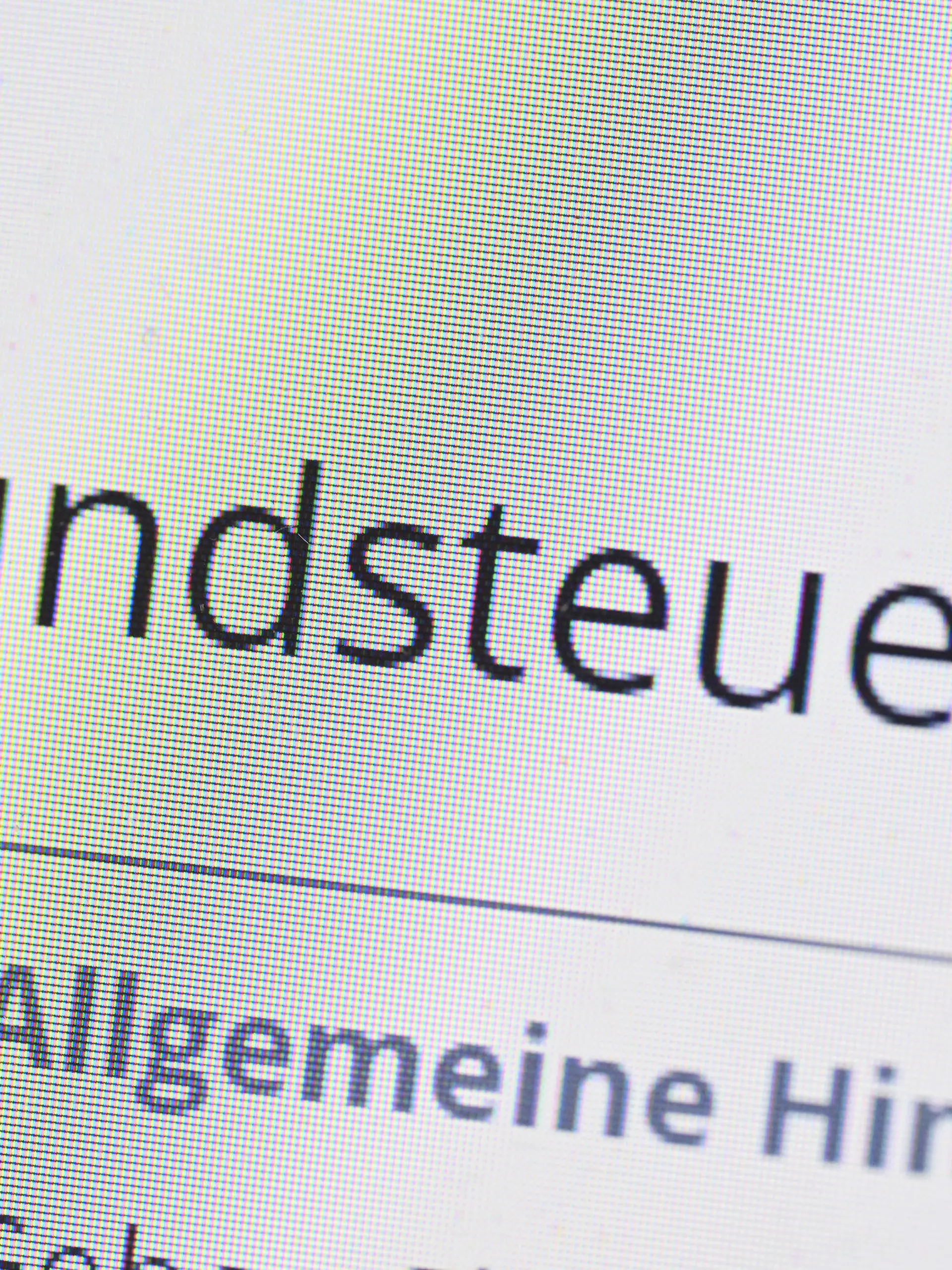 ARCHIV - 13.09.2022, Baden-Württemberg, Stuttgart: Das Wort Grundsteuer erscheint auf einem Computerbildschirm auf der Seite des Online-Steuerportals Elster. Bei den Finanzämtern in Bransdenburg sind bisher knapp 805 000 Erklrärungen eingegangen. (zu dpa «Erst Zweidrittel der Brandenburger Grundsteuererklärungen eingereicht») Foto: Bernd Weißbrod/dpa +++ dpa-Bildfunk +++