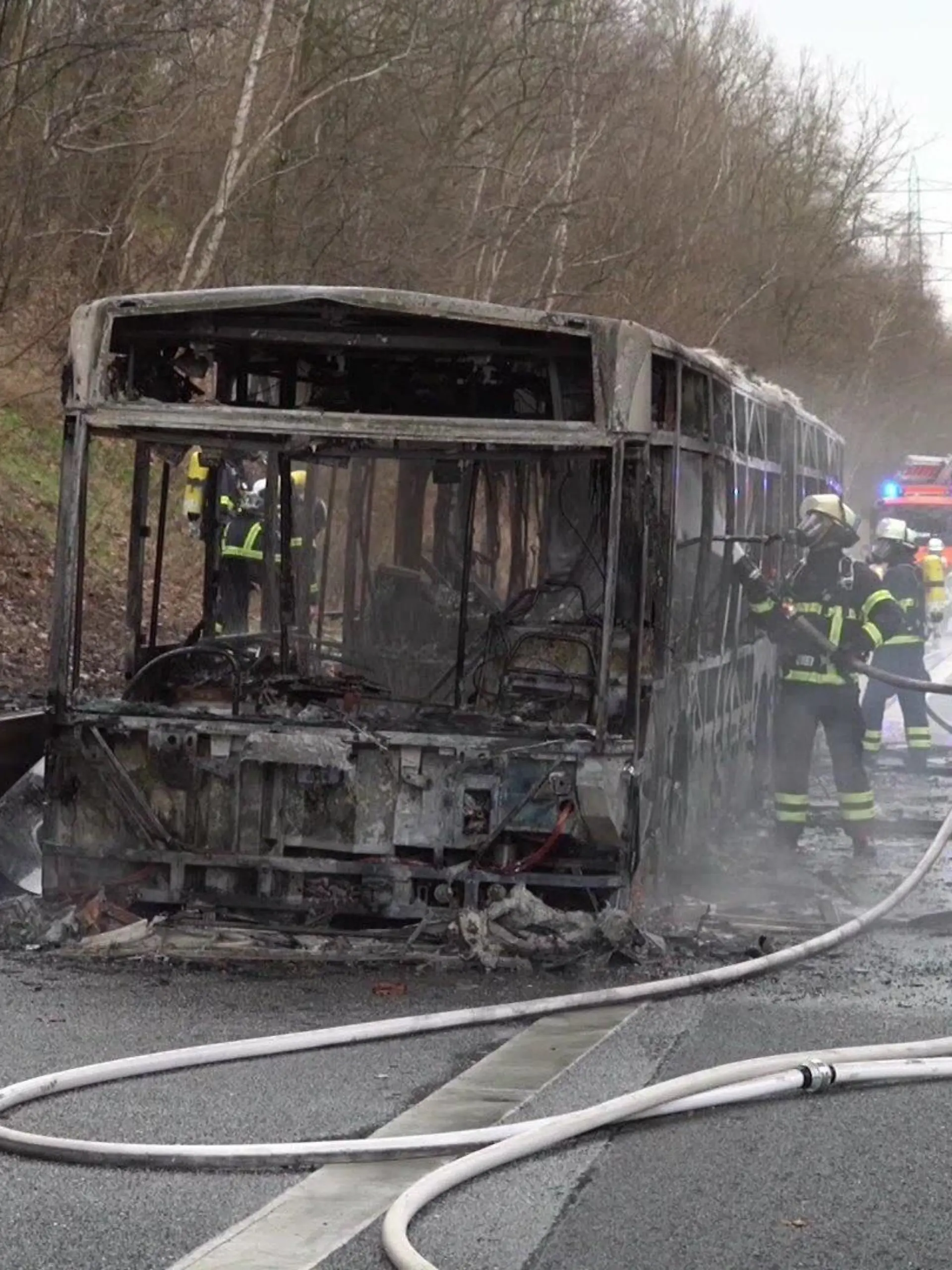 dd