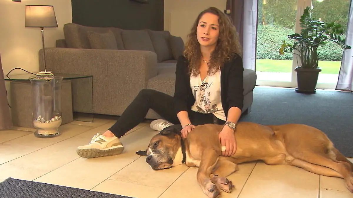 Hund Aiko findet ein neues Zuhause Nach acht Jahren im Tierheim