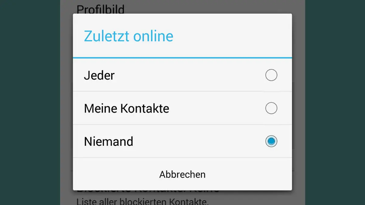 whatsapp-whatsspy-privacy