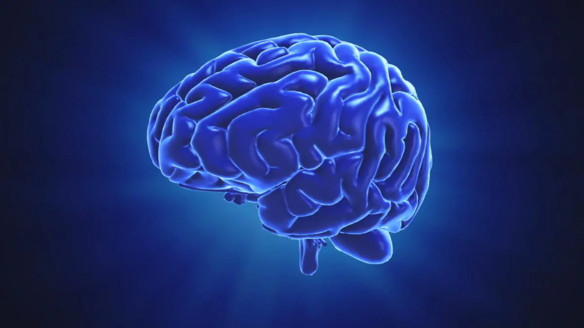 Intelligenztest: Wie klug bist du wirklich? Bist du ein schlaues Köpfchen?