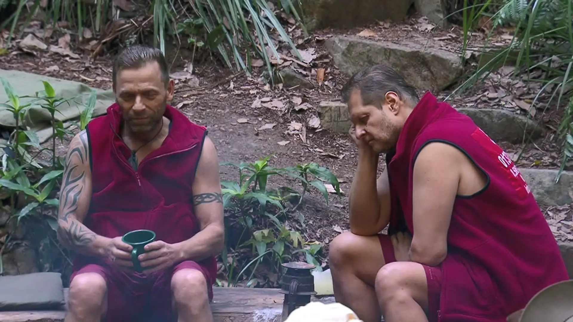 IBES 2017 Tag 12 Vorschau 2 jpg.jpg