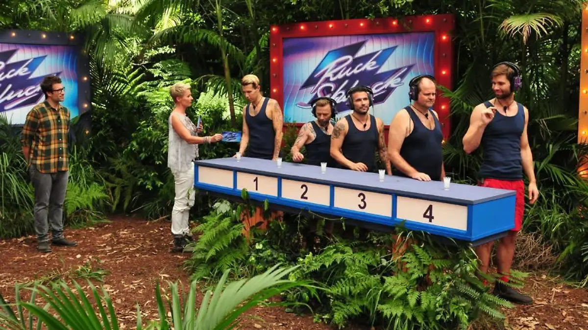 Florian Wess, Thomas Häßler, Marc Terenzi, Markus Majowski und Honey holen drei Sterne.