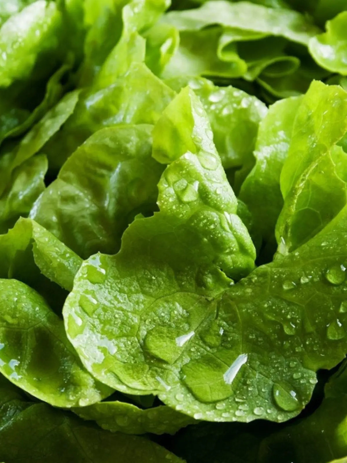 salat
