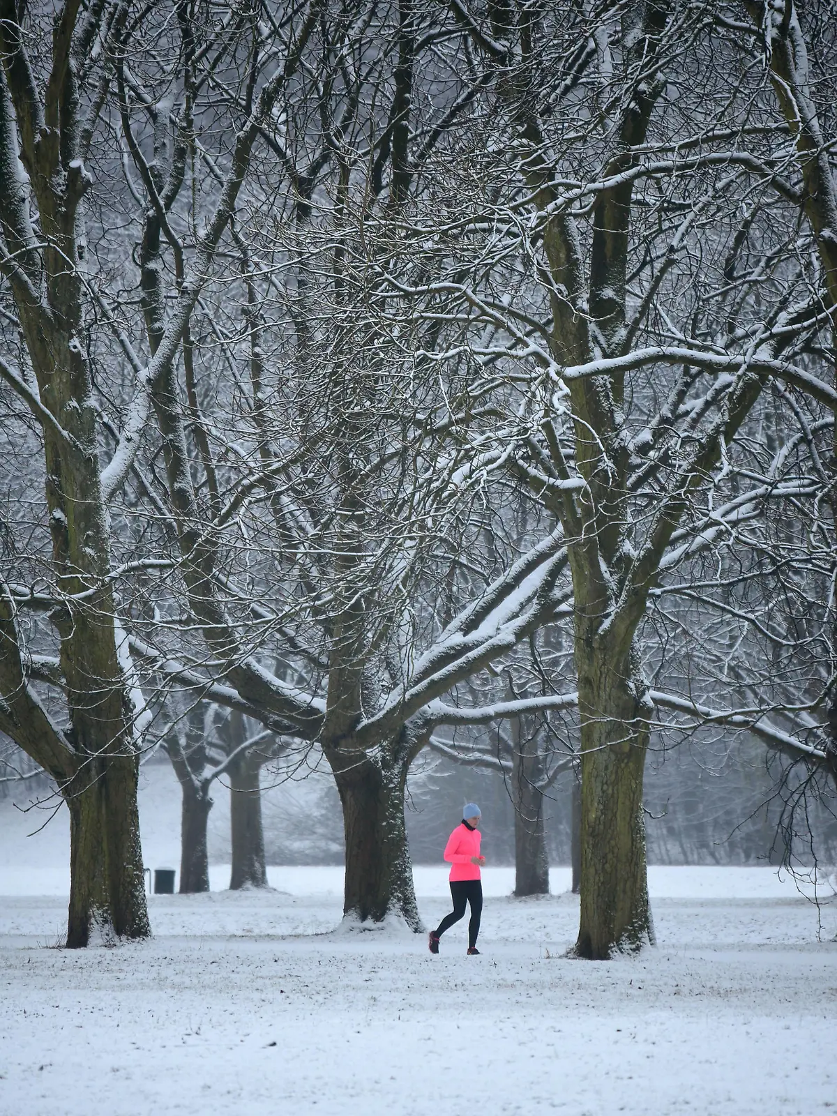 Eine Läuferin joggt am 02.01.2017 in Köln (Nordrhein-Westfalen) auf einem mit Schnee bedecktem Weg im Stadtwald. Foto: Henning Kaiser/dpa +++(c) dpa - Bildfunk+++