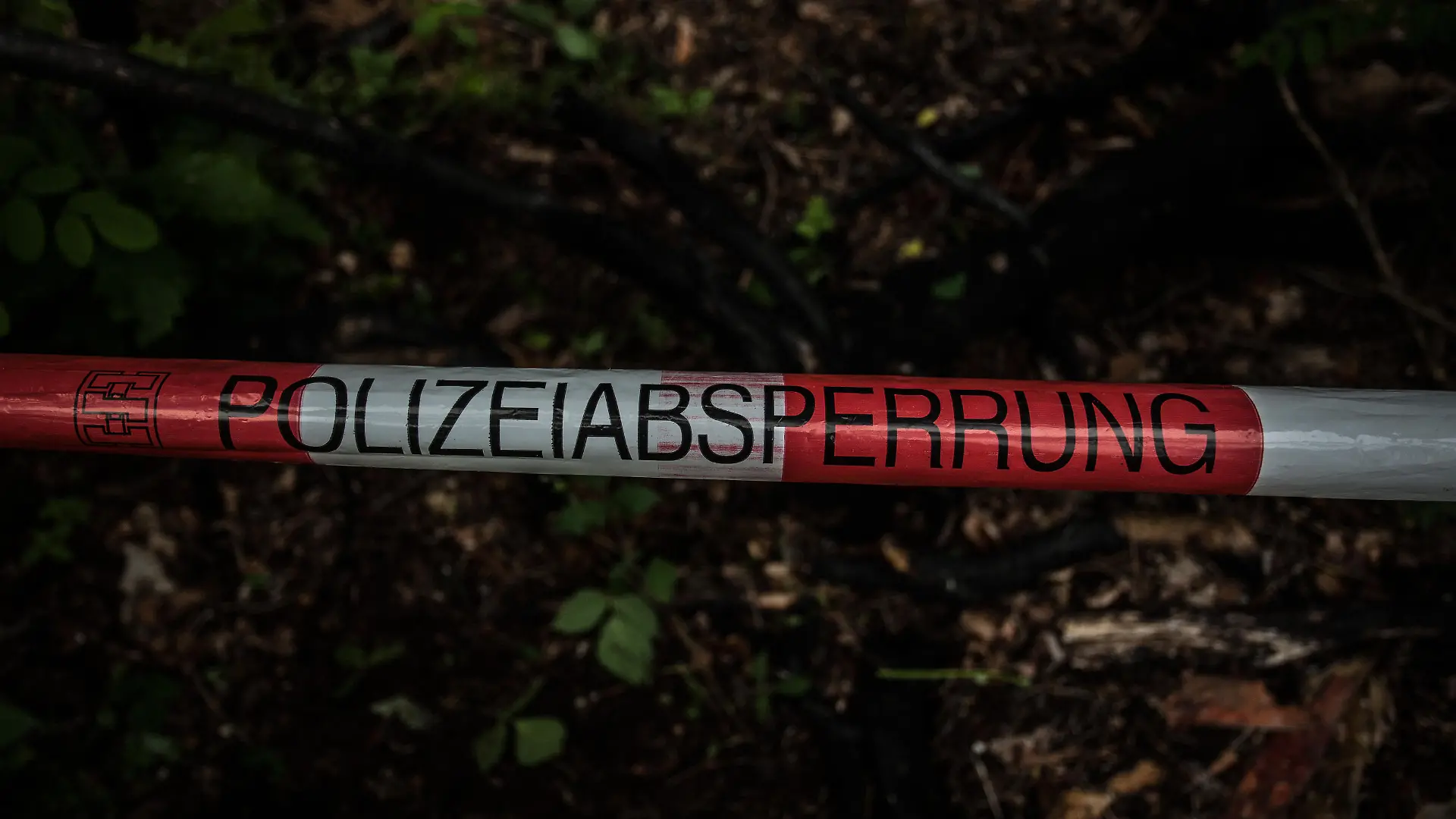 Bamberg, Deutschland 07.06.2020: Symbolbilder - 2020 Symbolbild Waldbrand / Polizeiabsperrung eines Waldbrandes / Polizei / Spuren suche von der Polizei ob es Brandstiftung war / Brand / Feuer / Brand im Wald / Wald / Waldbrand / Polizei sperrt Waldgebiet wegen Brand / Polizei sucht nach Zeugen / Zeugen / Feuer im Wald / Erhoehte Waldbrandgefahr / Waldbrand / Verbrannte Baume / Baume sind angebrannt / Spurensuche / Vermissten Suche / Vermisste Person / Polizei sucht nach Spuren einer vermissten Person /