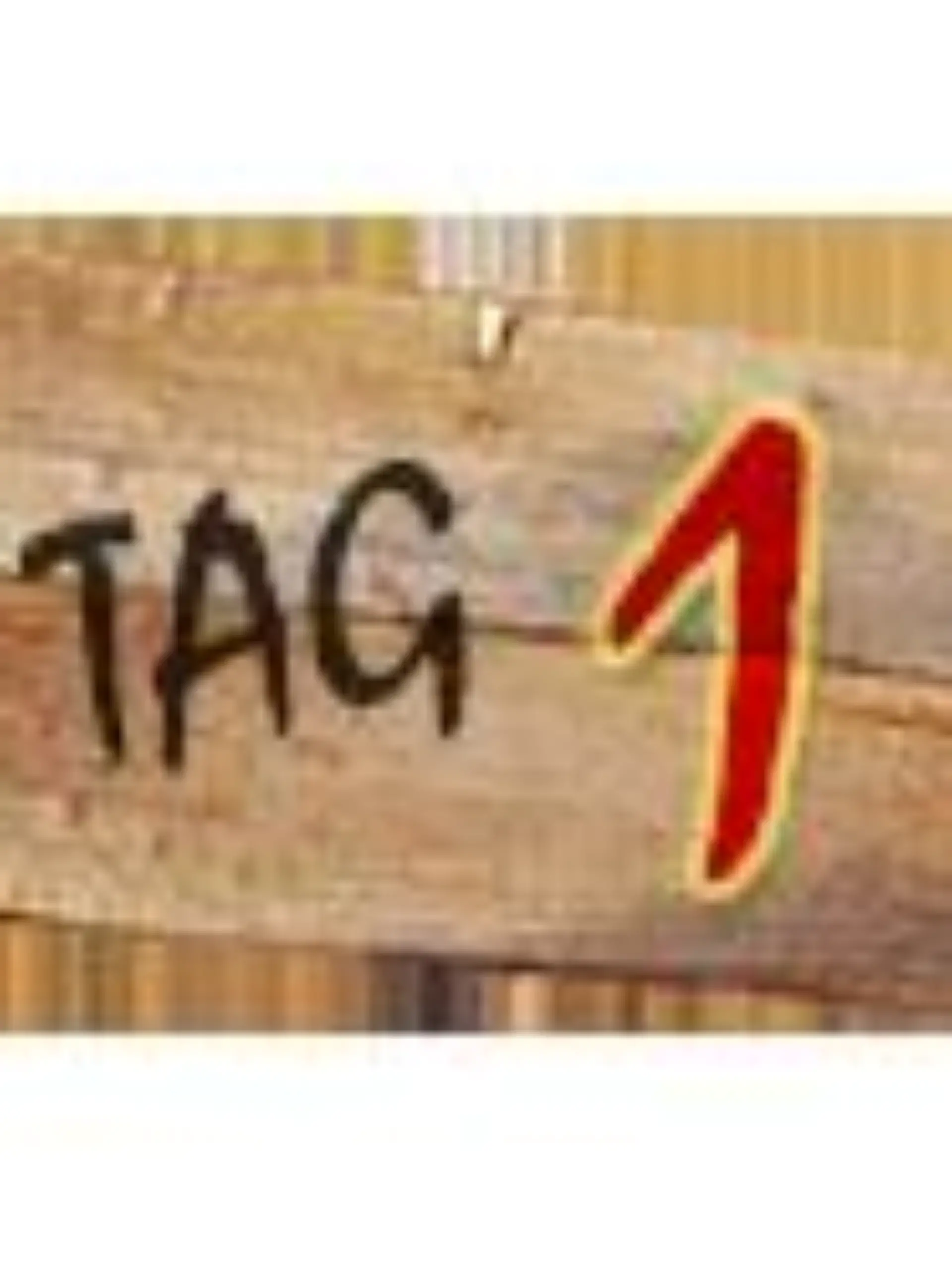 tagebuch 1