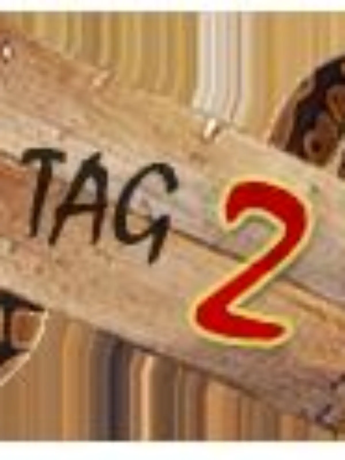 tagebuch 2