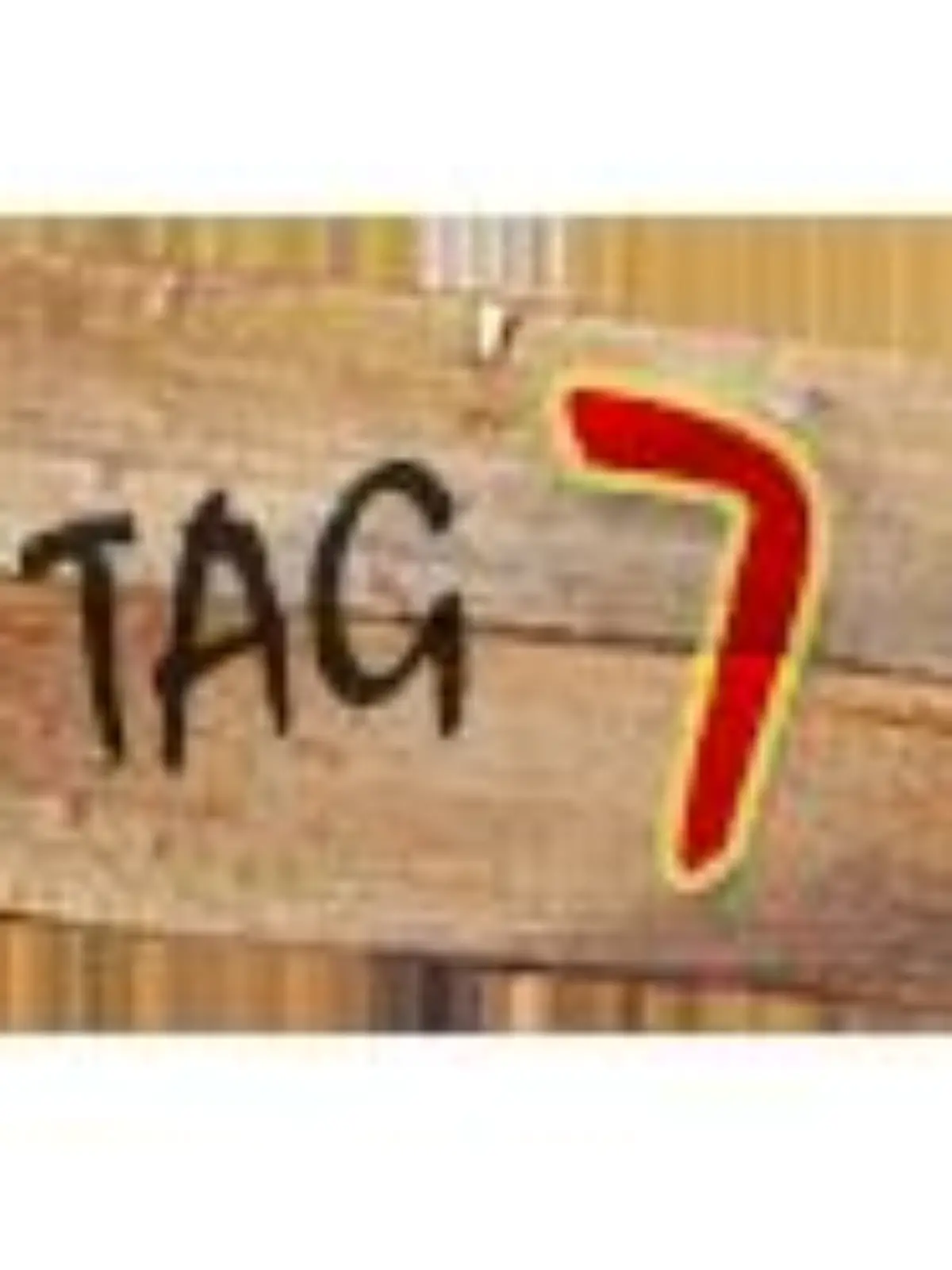 tagebuch 7