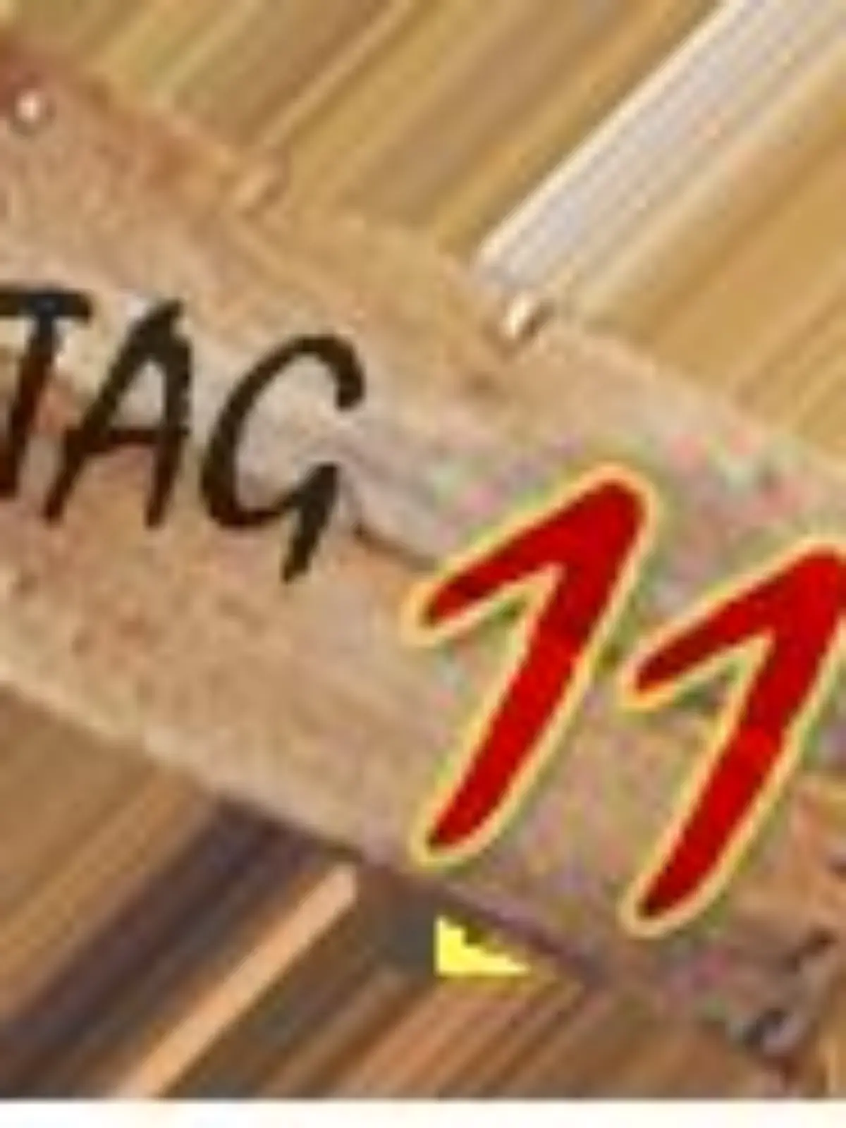 tagebuch 11