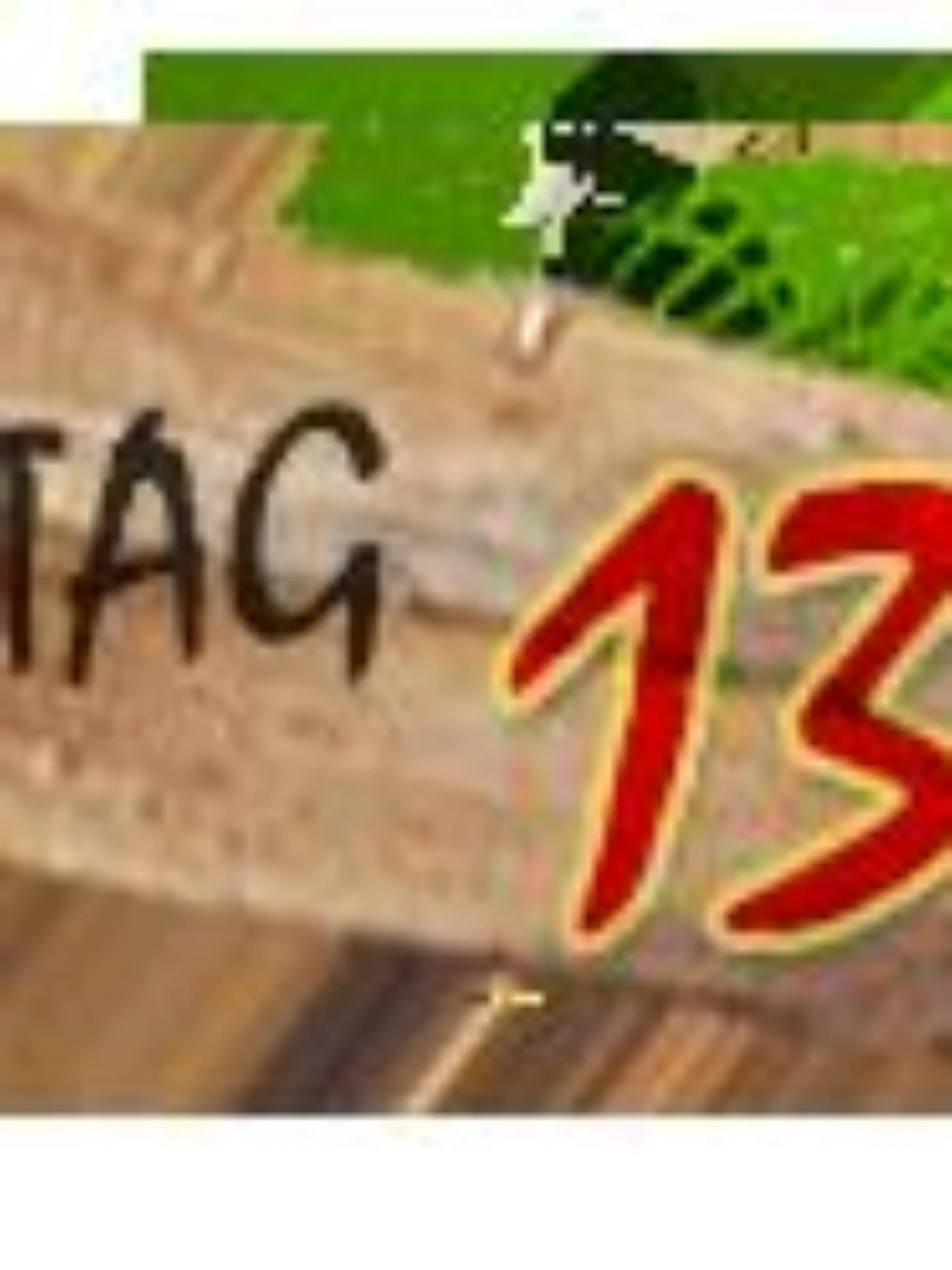 tagebuch 13