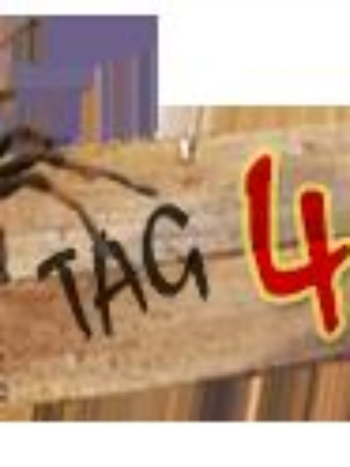 tagebuch 4.png