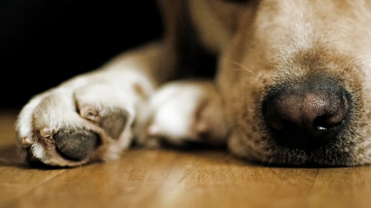 iStock 13869571 MEDIUM.jpg