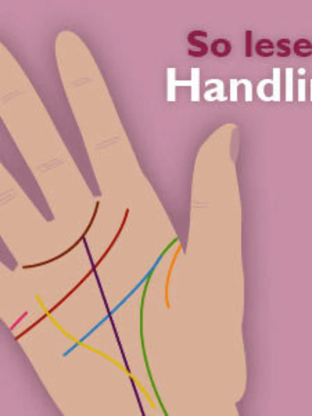 handlesen handlinien multiteaser