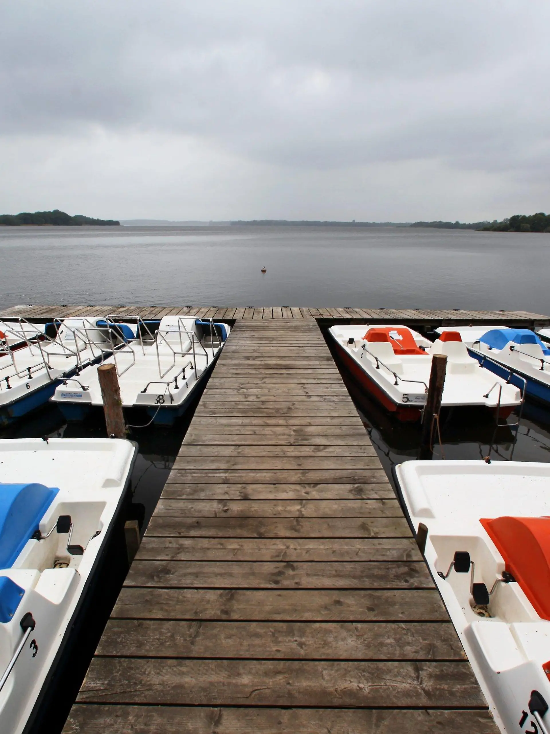 Tretboote liegen am Montag (07.06.2010) im Regen an einem Anlegesteg am Schaalsee in Zarrentin (Ludwigslust). Mit Regen und Temperaturen knapp über zehn Grad zeigt sich das Wetter zu Wochenbeginn in Norddeutschland von seiner unfreundlichen Seite. Für die zweite Wochenhälfte erwarten die Meteorologen jedoch wieder Sommerwetter mit Temperaturen bis zu 30 Grad. Foto: Jens Büttner dpa/lmv  +++(c) dpa - Bildfunk+++