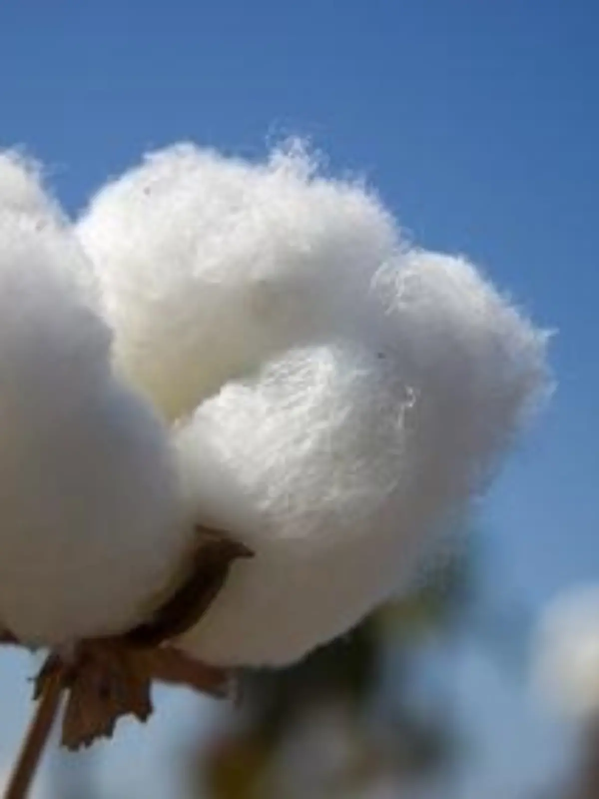 Fotolia 4131435 XS.jpg