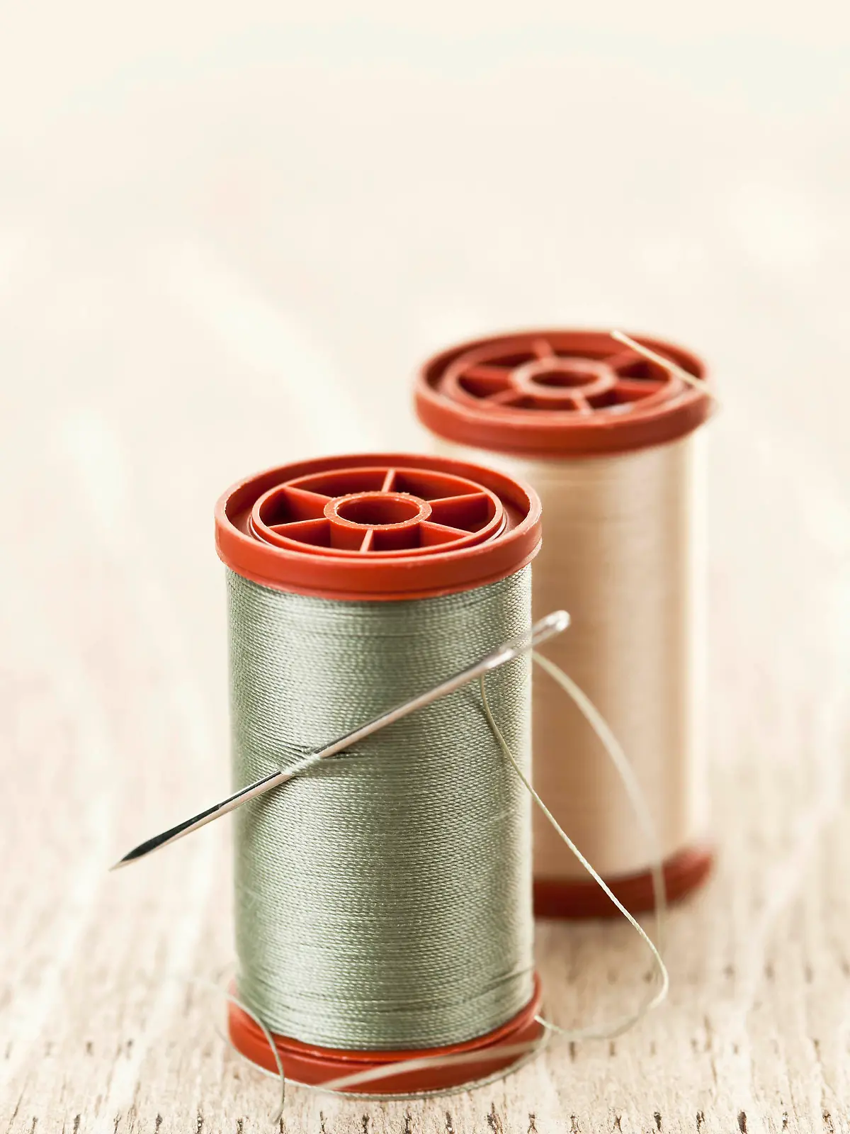 Spool of thread and needle, Spule des Fadens und der Nadel Keine Weitergabe an Drittverwerter.