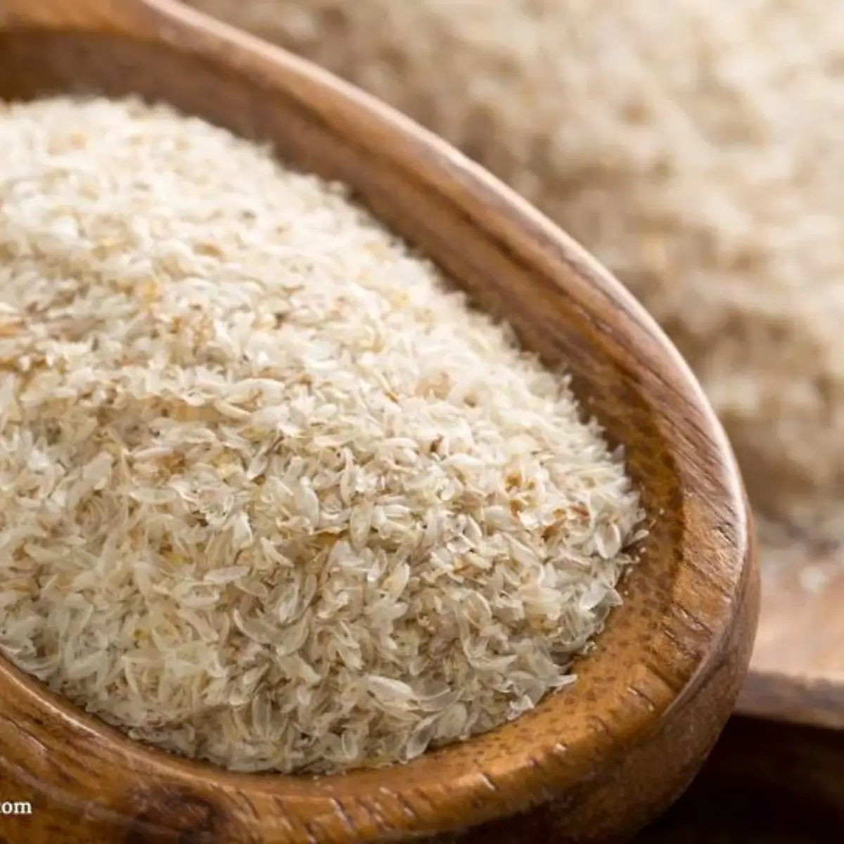 Flohsamen Logo von Flohsamen