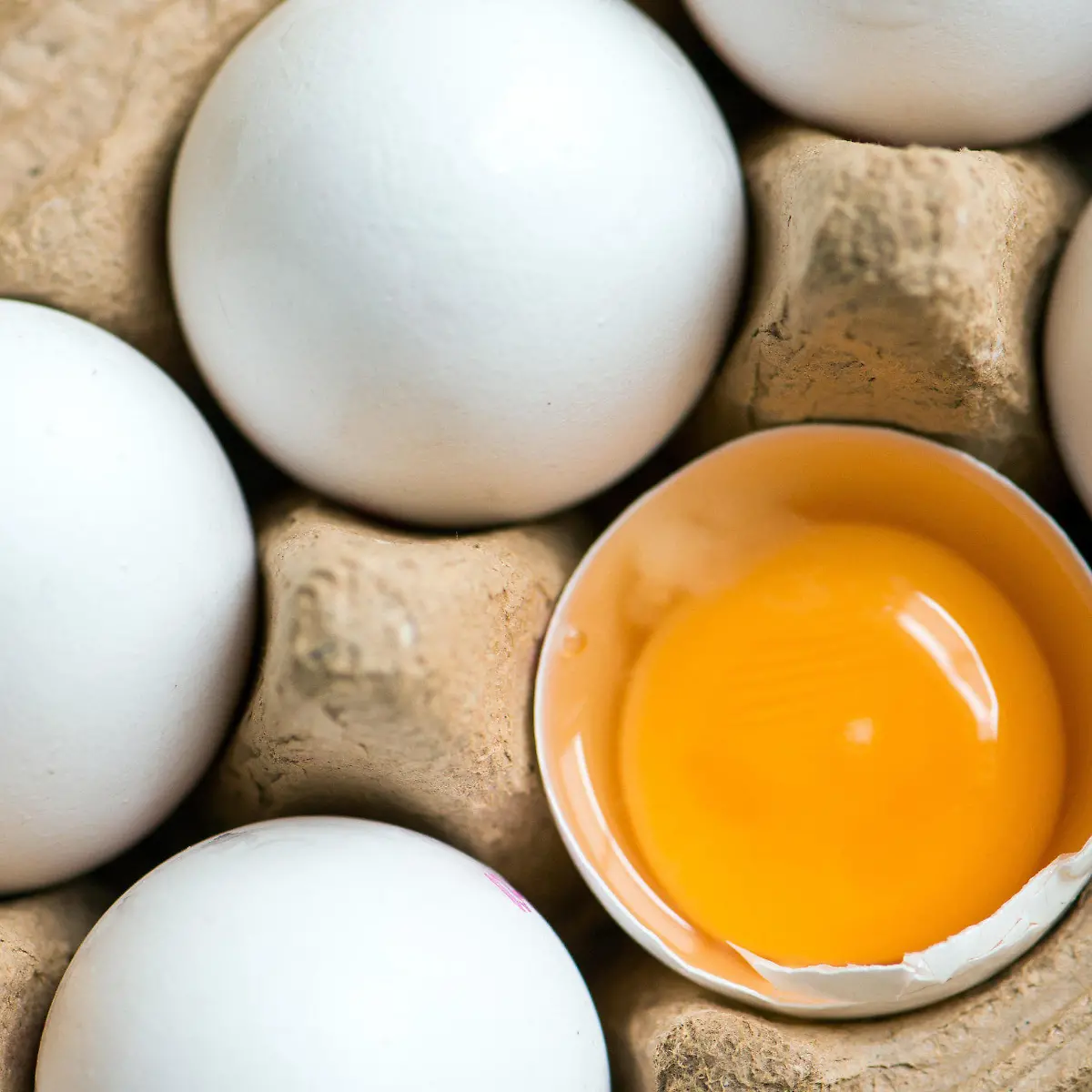 Salmonellen Logo von Salmonellen