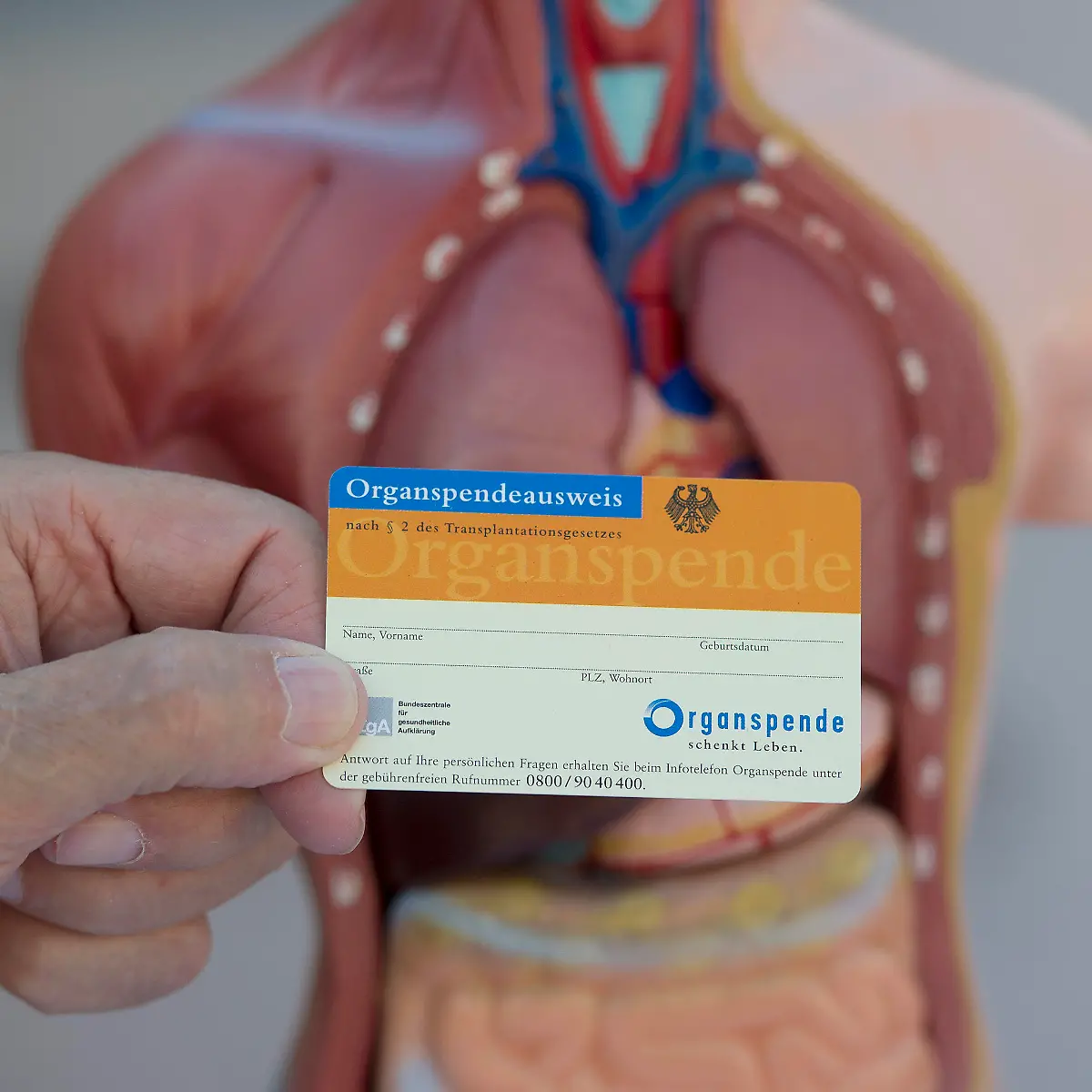 Organspendeausweis Logo von Organspendeausweis