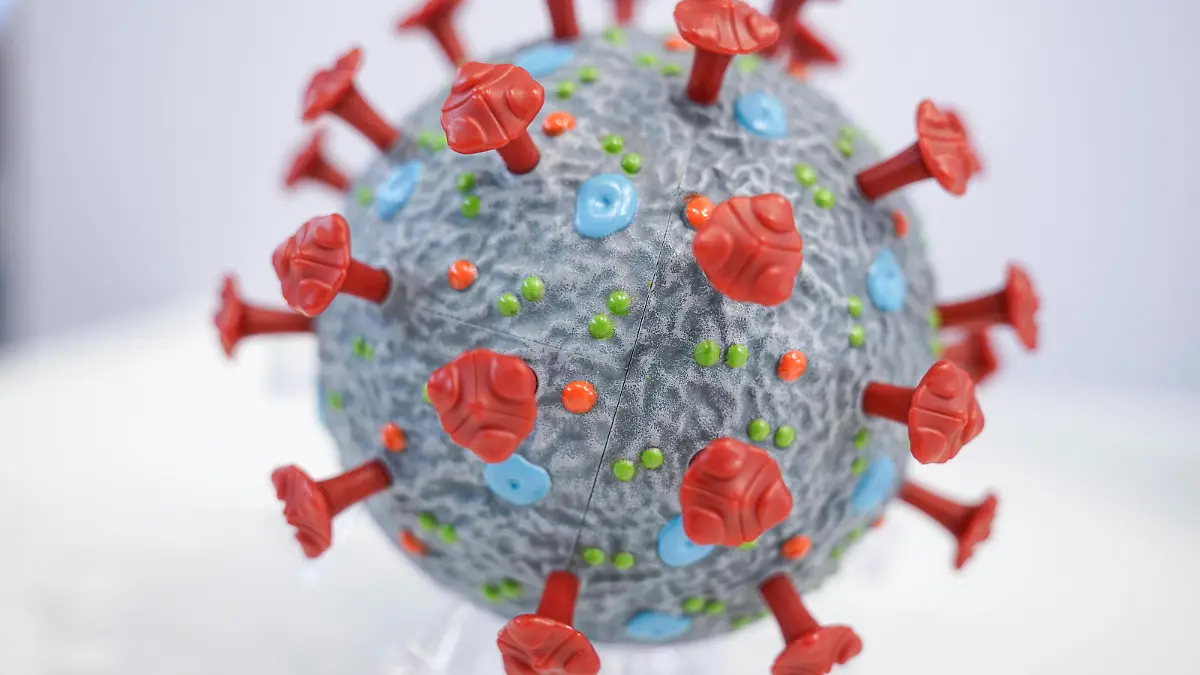  Symbolbild Coronavirus Symbolfoto Coronavirus - InfektionCorona Virus, Sars-Cov2, neue Mutante, BA.5 - Corona Virus Modell der Firma PHYWE Deutschland *** Symbol image coronavirus symbol photo coronavirus infection corona virus, sars cov2, new mutant, BA 5 corona virus model of the company PHYWE Germany