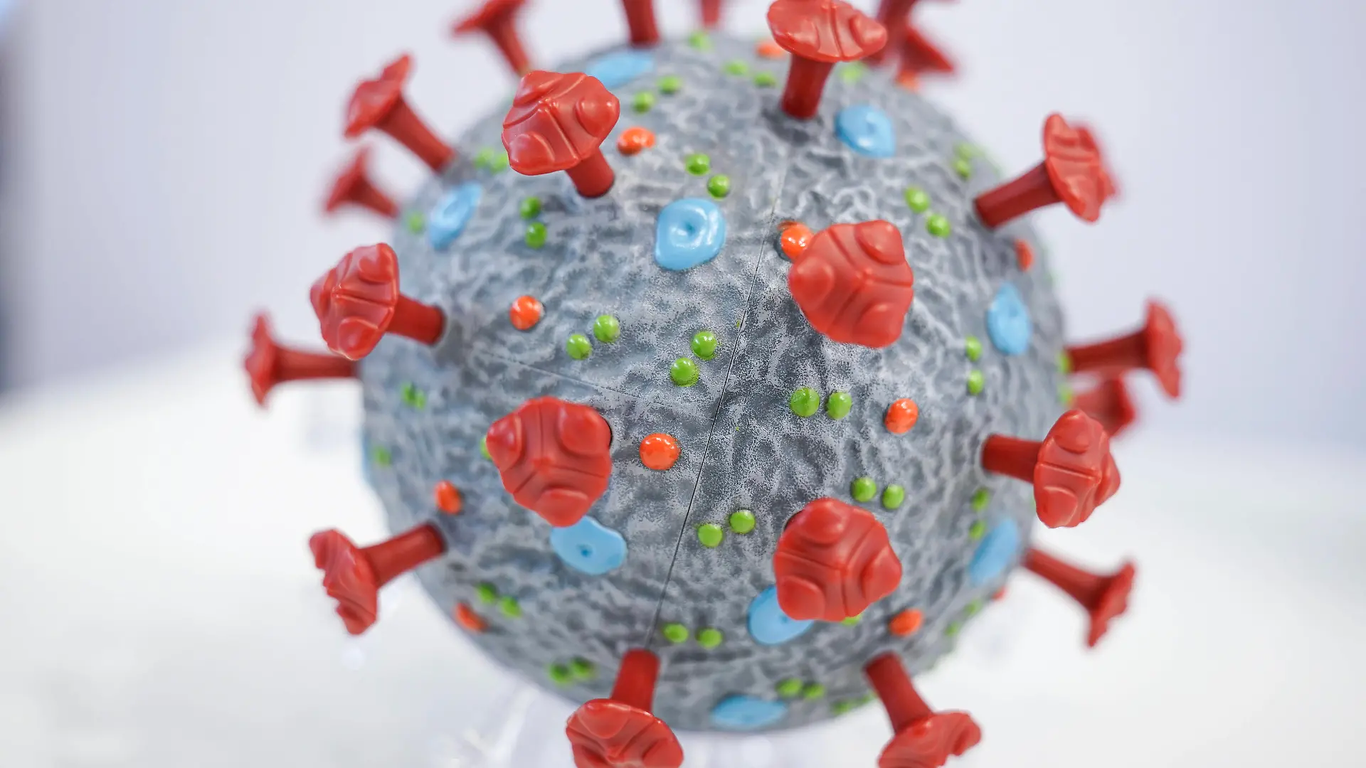 Symbolbild Coronavirus Symbolfoto Coronavirus - InfektionCorona Virus, Sars-Cov2, neue Mutante, BA.5 - Corona Virus Modell der Firma PHYWE Deutschland *** Symbol image coronavirus symbol photo coronavirus infection corona virus, sars cov2, new mutant, BA 5 corona virus model of the company PHYWE Germany