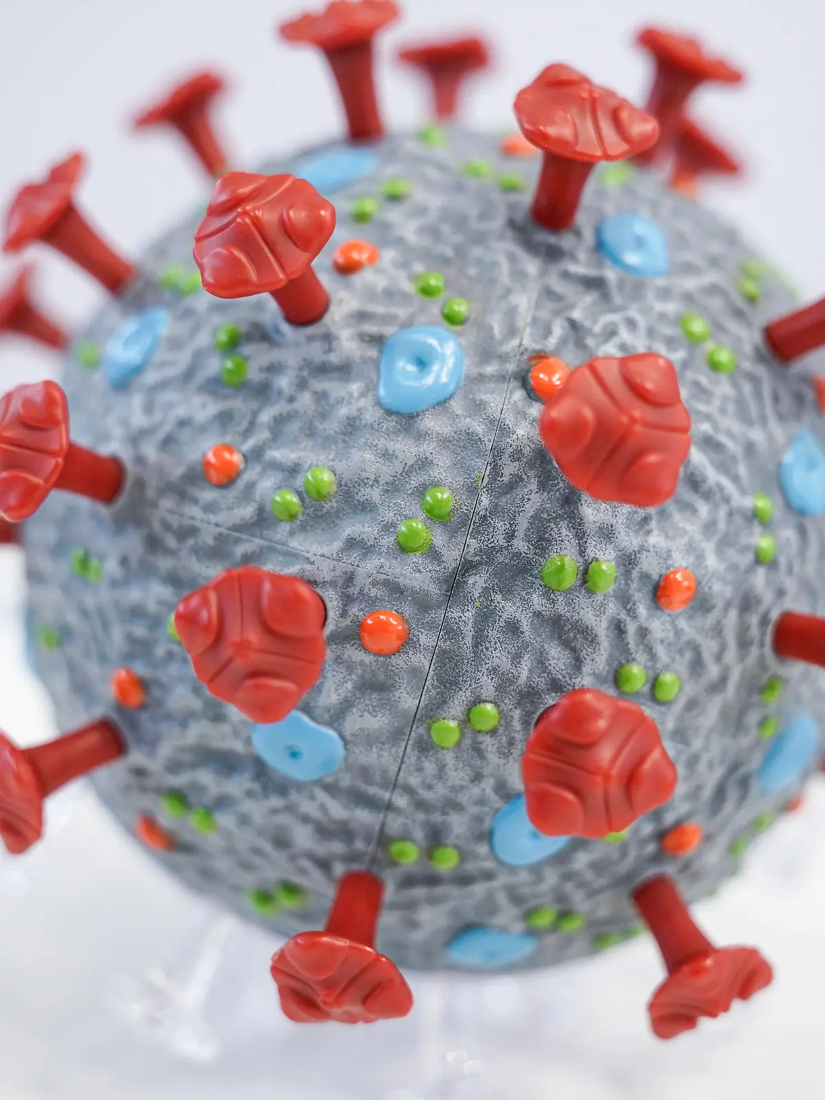  Symbolbild Coronavirus Symbolfoto Coronavirus - InfektionCorona Virus, Sars-Cov2, neue Mutante, BA.5 - Corona Virus Modell der Firma PHYWE Deutschland *** Symbol image coronavirus symbol photo coronavirus infection corona virus, sars cov2, new mutant, BA 5 corona virus model of the company PHYWE Germany