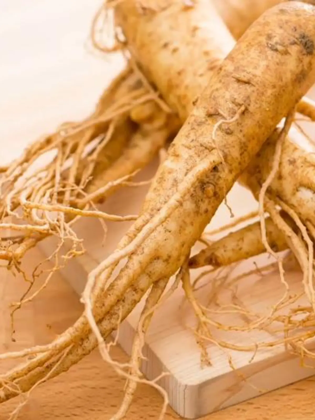 Bild zu: "Ginseng"