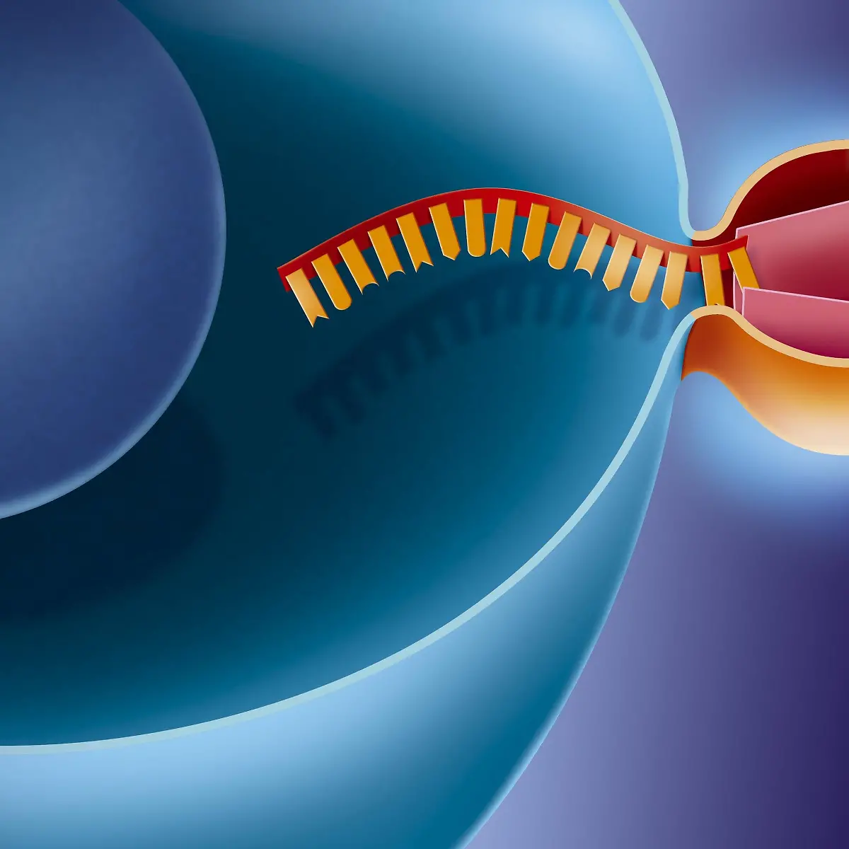 Penetration Logo von Penetration