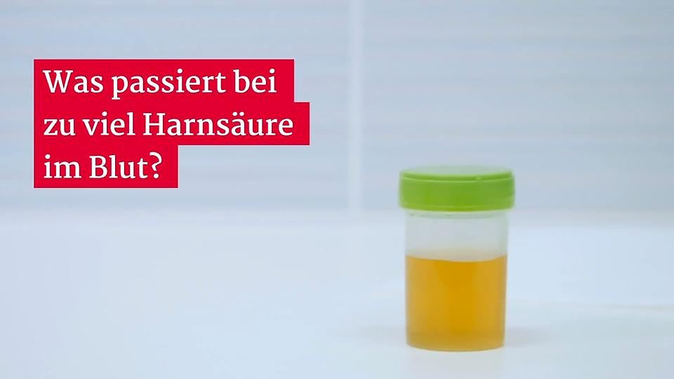 Zu Viel Harnsäure Im Blut www.rtl.de
