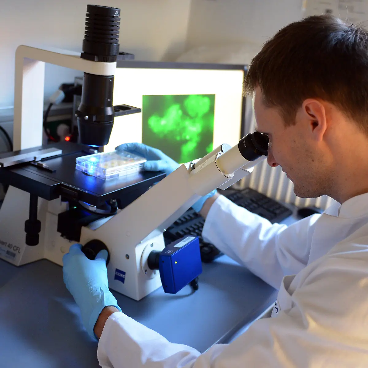 Pathologie Logo von Pathologie