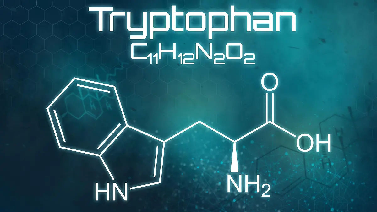 Gesundheitslexikon: L-Tryptophan