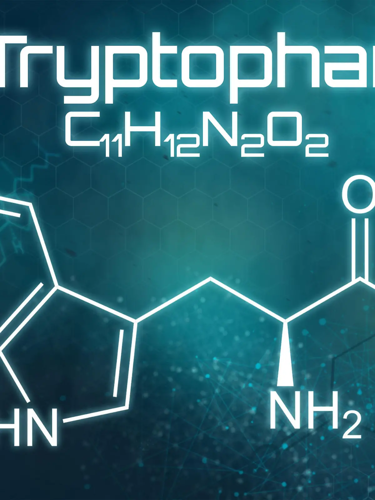 Gesundheitslexikon: L-Tryptophan