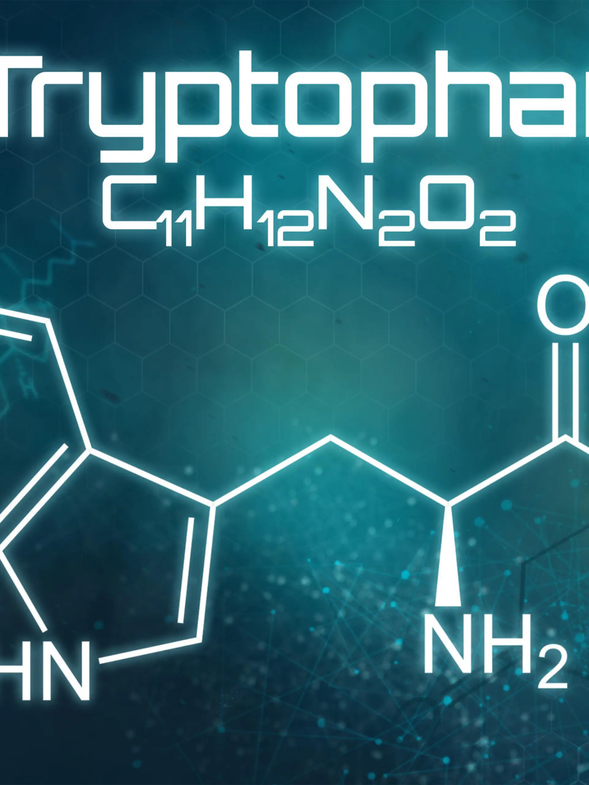 Gesundheitslexikon: L-Tryptophan