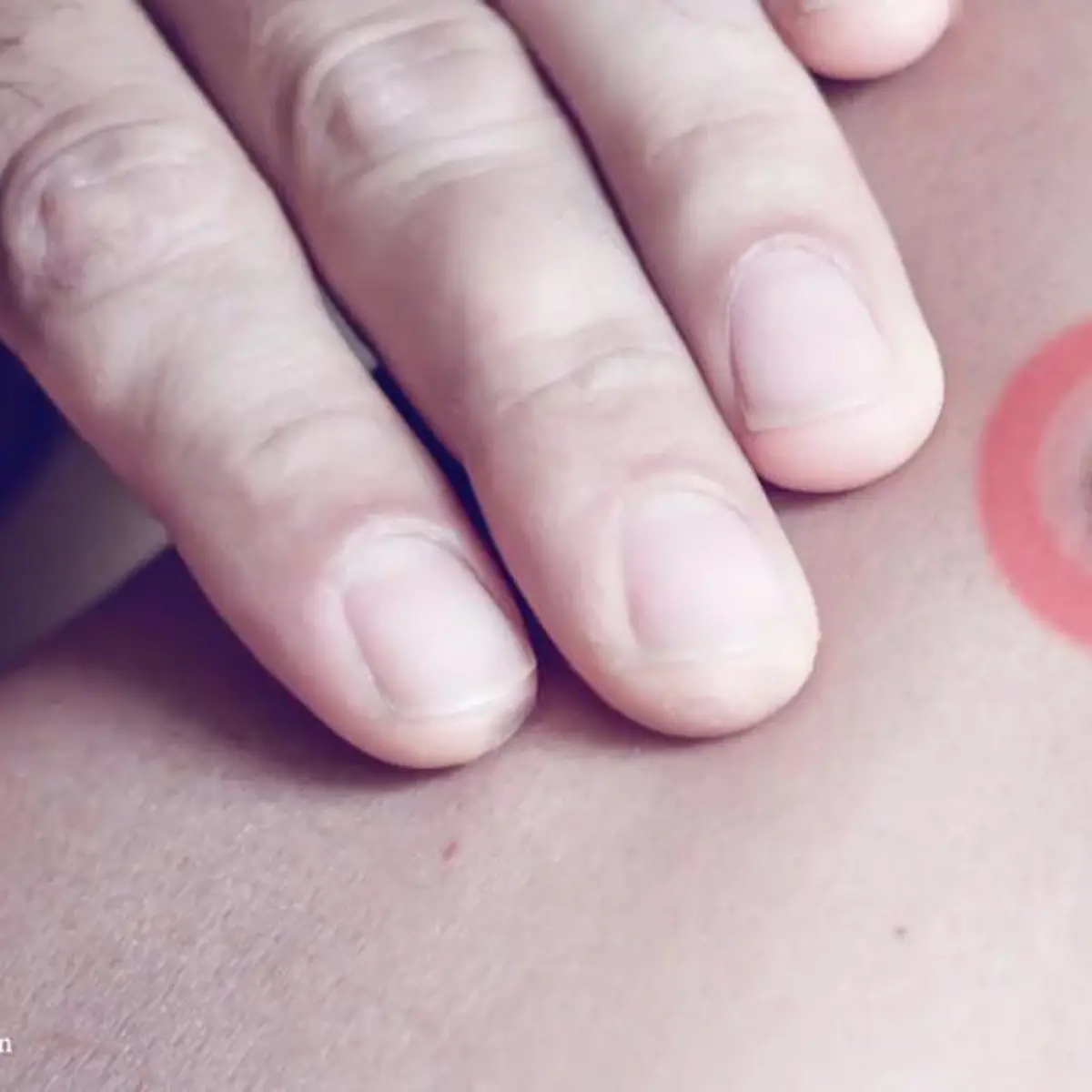 Fibrom Logo von Fibrom