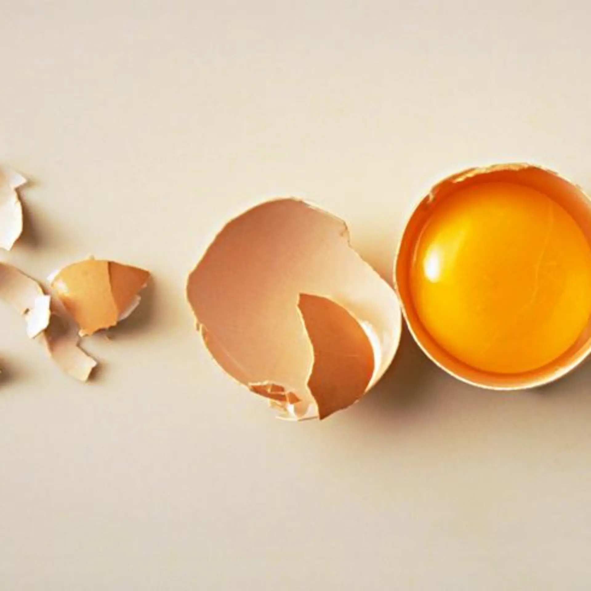 Lecithin Logo von Lecithin