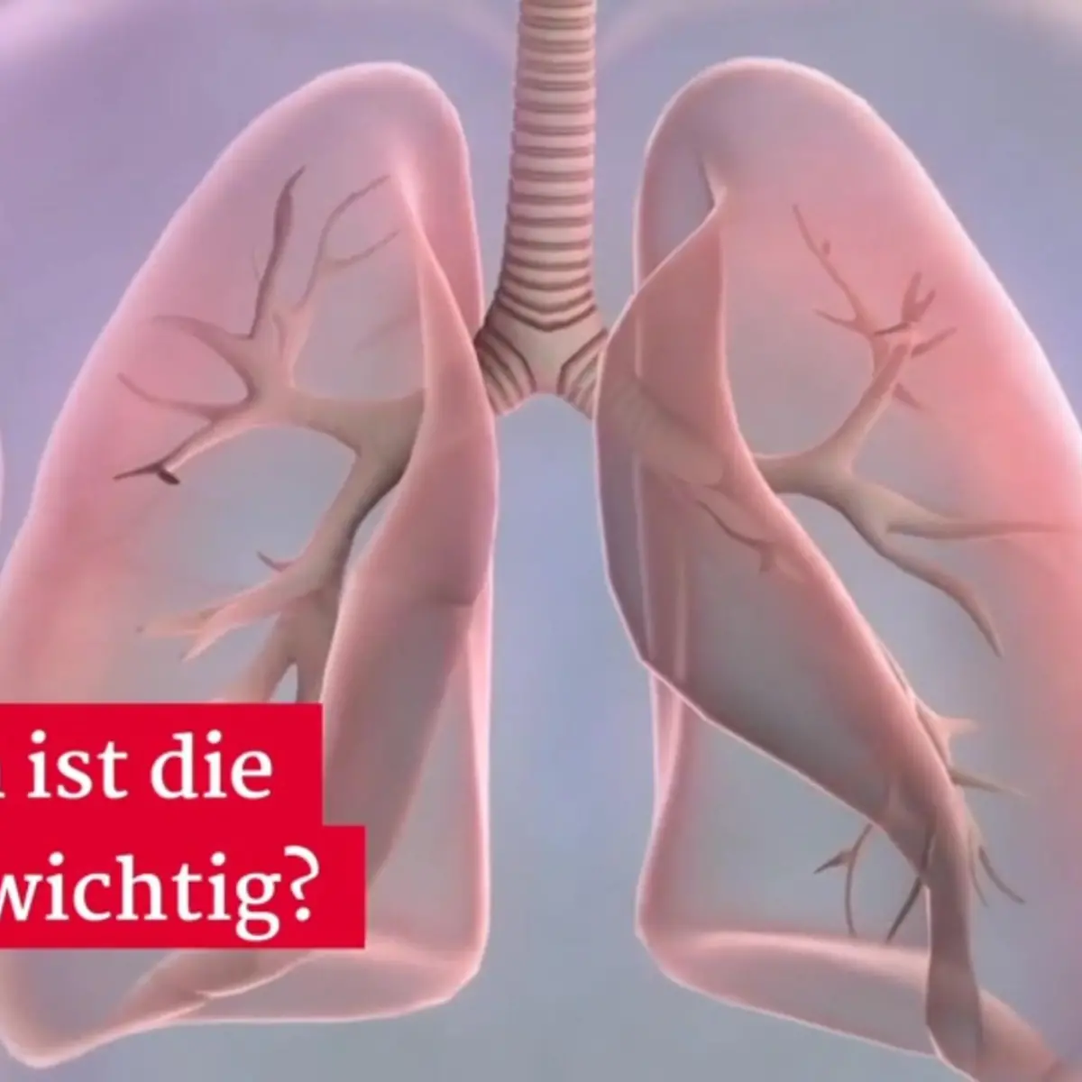 Lunge Logo von Lunge