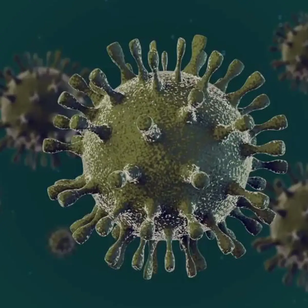 Rotaviren (Rotavirus) Logo von Rotaviren (Rotavirus)