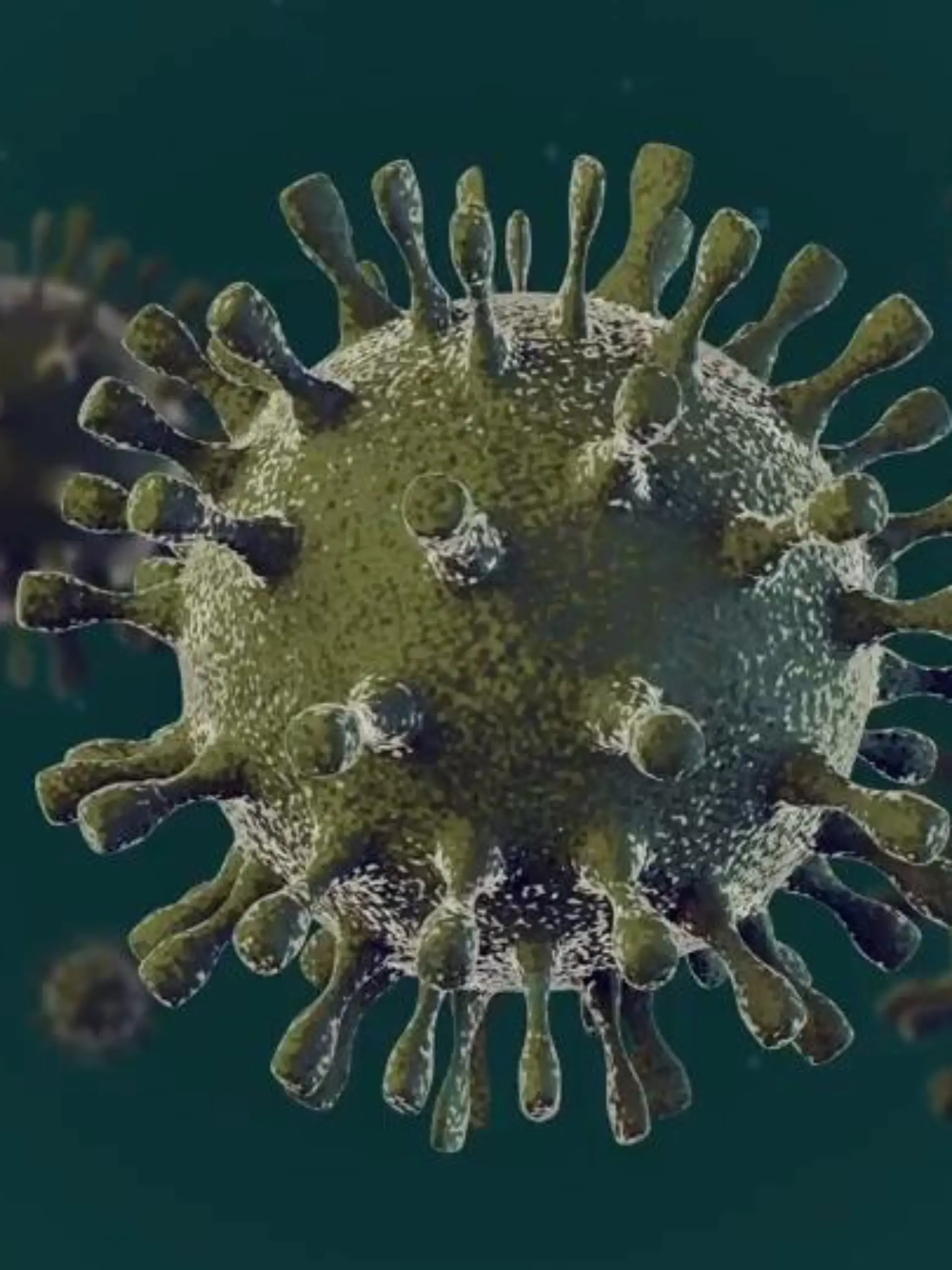 Bild zu: "Rotaviren (Rotavirus)"