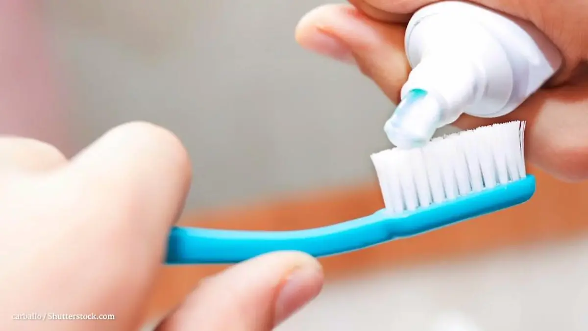 Gesundheitslexikon: Fluorid: Baumaterial für Zähne und Knochen