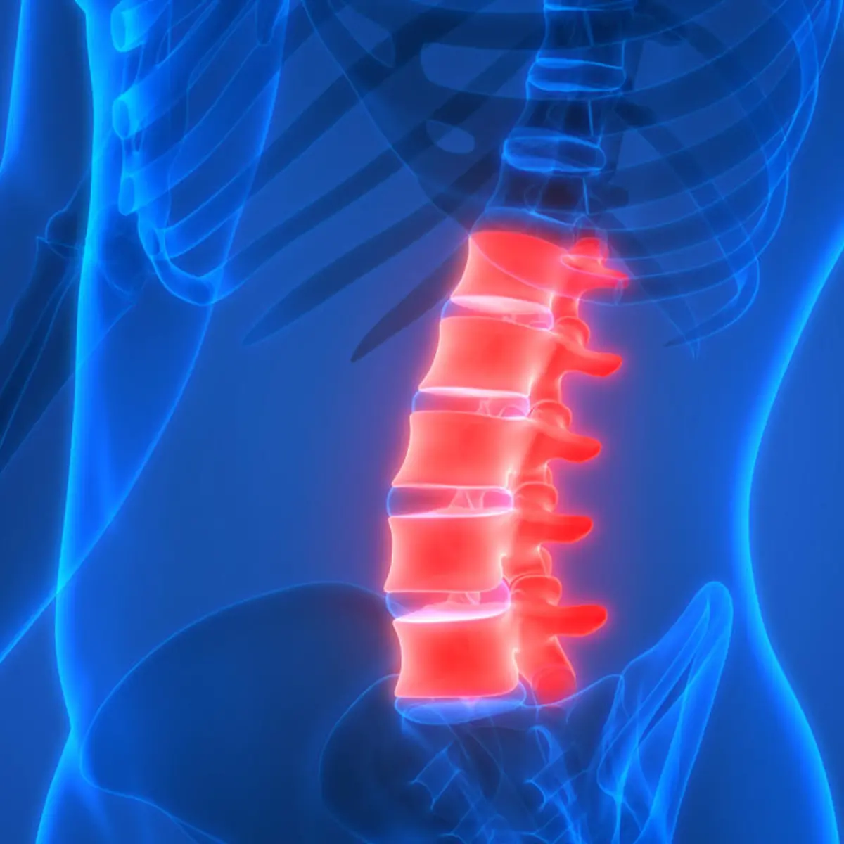 Lendenwirbel Logo von Lendenwirbel