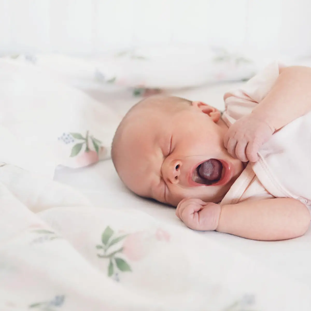 Mundsoor Logo von Mundsoor