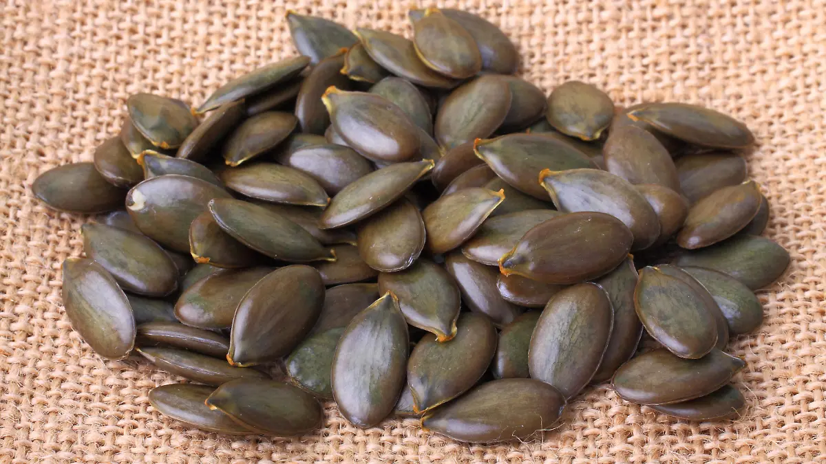 Steirischer Oelkuerbis, Steirischer Oel-Kuerbis (Cucurbita pepo var. styriaca), Kuerbiskerne aus einem Speisekuerbis der Sorte Steirischer Oelkuerbis, einer der wertvollsten Speisekuerbise, unter anderem zur Herstellung von Kuerbiskernoelen | styrian pumpkin, styrian oil pumpkin (Cucurbita pepo var. styriaca), seeds of pumpkin of cultivar Steirischer Oelkuerbis, Styrian oil pumpkin | Verwendung weltweit
