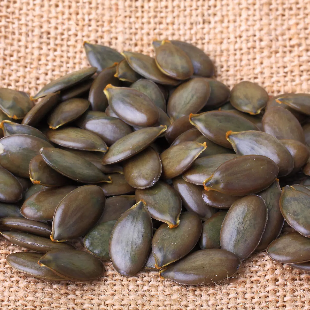 Lysin Logo von Lysin